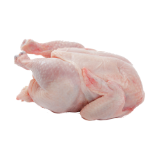 Chicken Meat